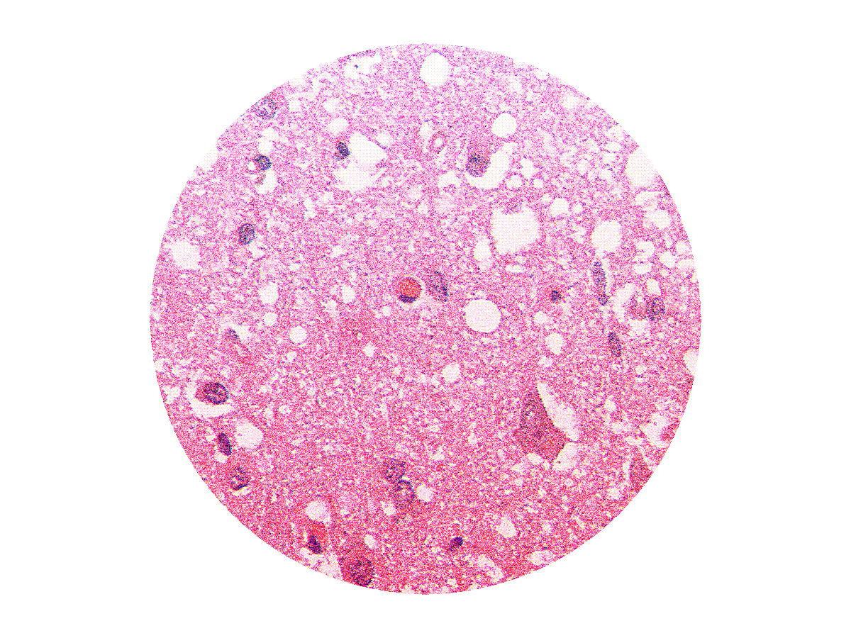 An animated gif of my profile picture.